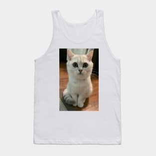 Silly Cat Tank Top